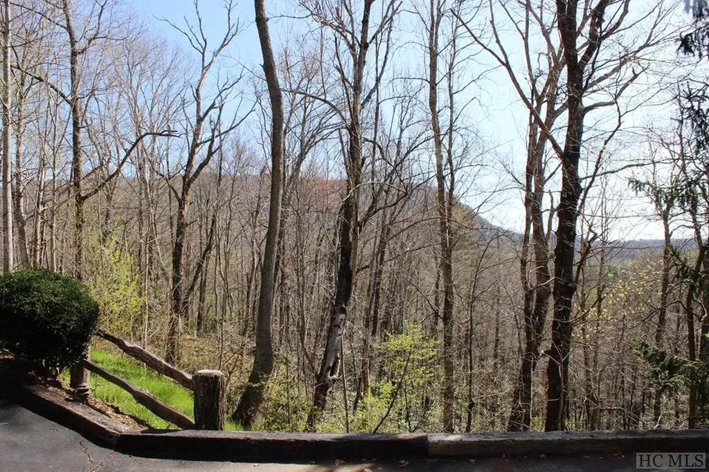 516 Narrows Road Sapphire NC 28774