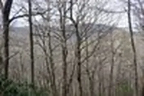 Tbd High Gate Road Highlands NC 28741