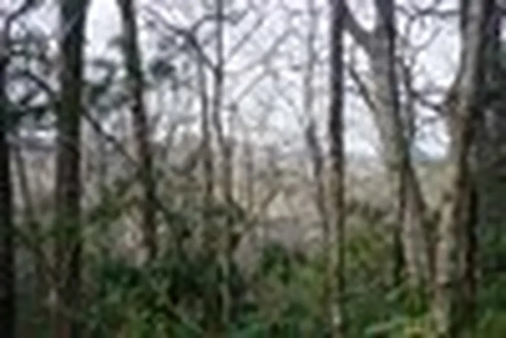 Tbd Summit Trail Highlands NC 28741