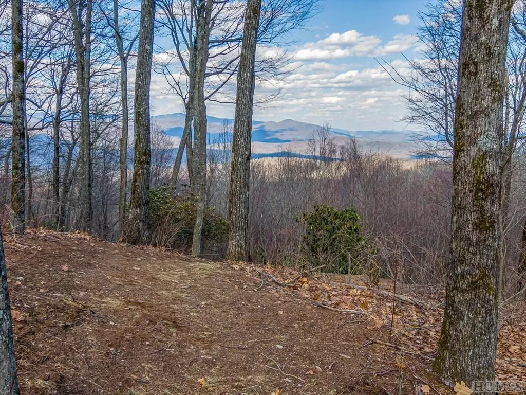 Ps 1&2 Panther Summit Drive Lake Toxaway NC 28747