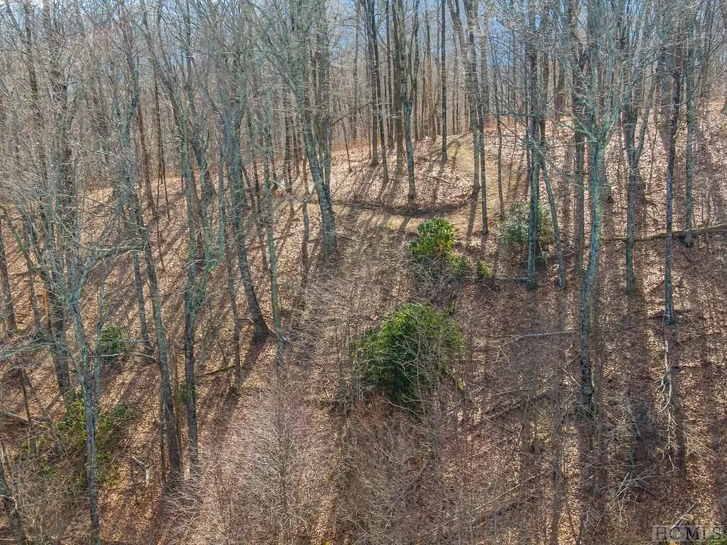 Ps 1&2 Panther Summit Drive Lake Toxaway NC 28747