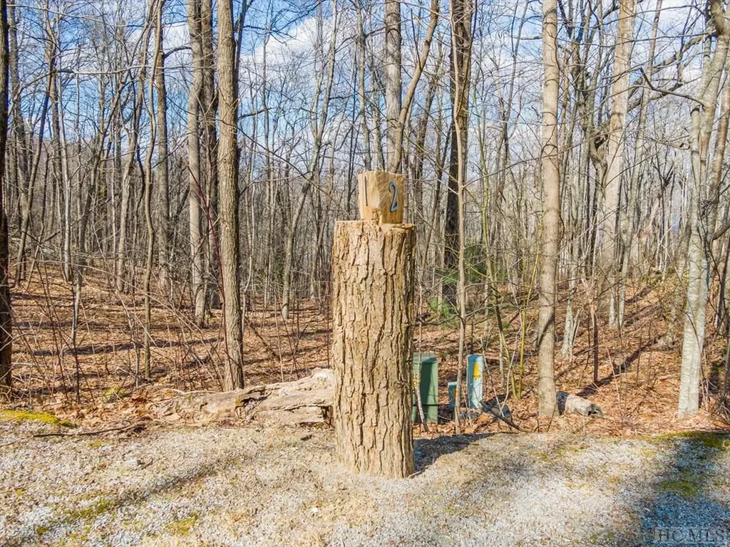 Ps 1&2 Panther Summit Drive Lake Toxaway NC 28747