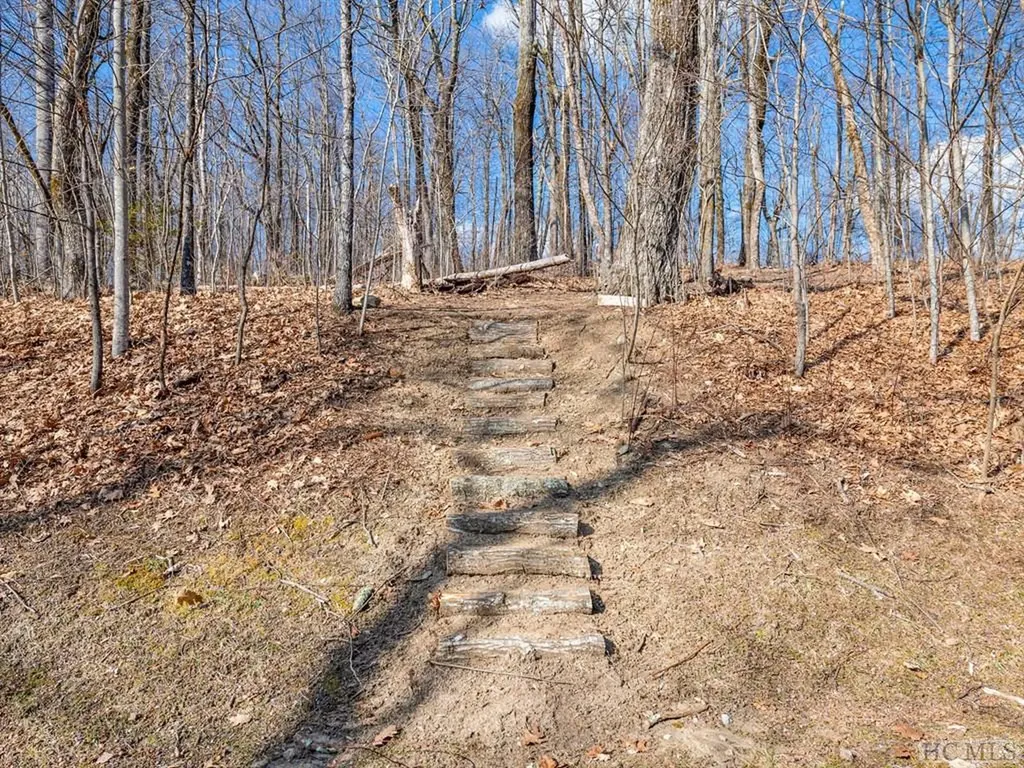 Ps 1&2 Panther Summit Drive Lake Toxaway NC 28747