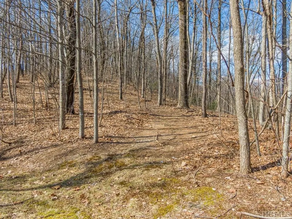 Ps 1&2 Panther Summit Drive Lake Toxaway NC 28747