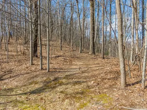 Ps 1&2 Panther Summit Drive Lake Toxaway NC 28747