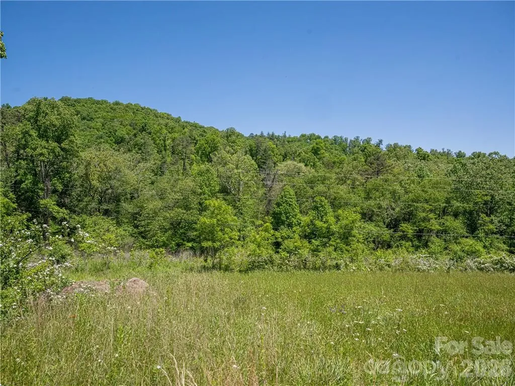 99999 Merrills Cove Road Asheville NC 28803