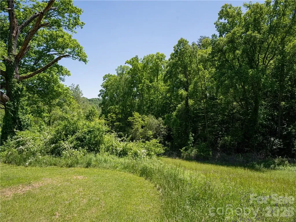 99999 Merrills Cove Road Asheville NC 28803