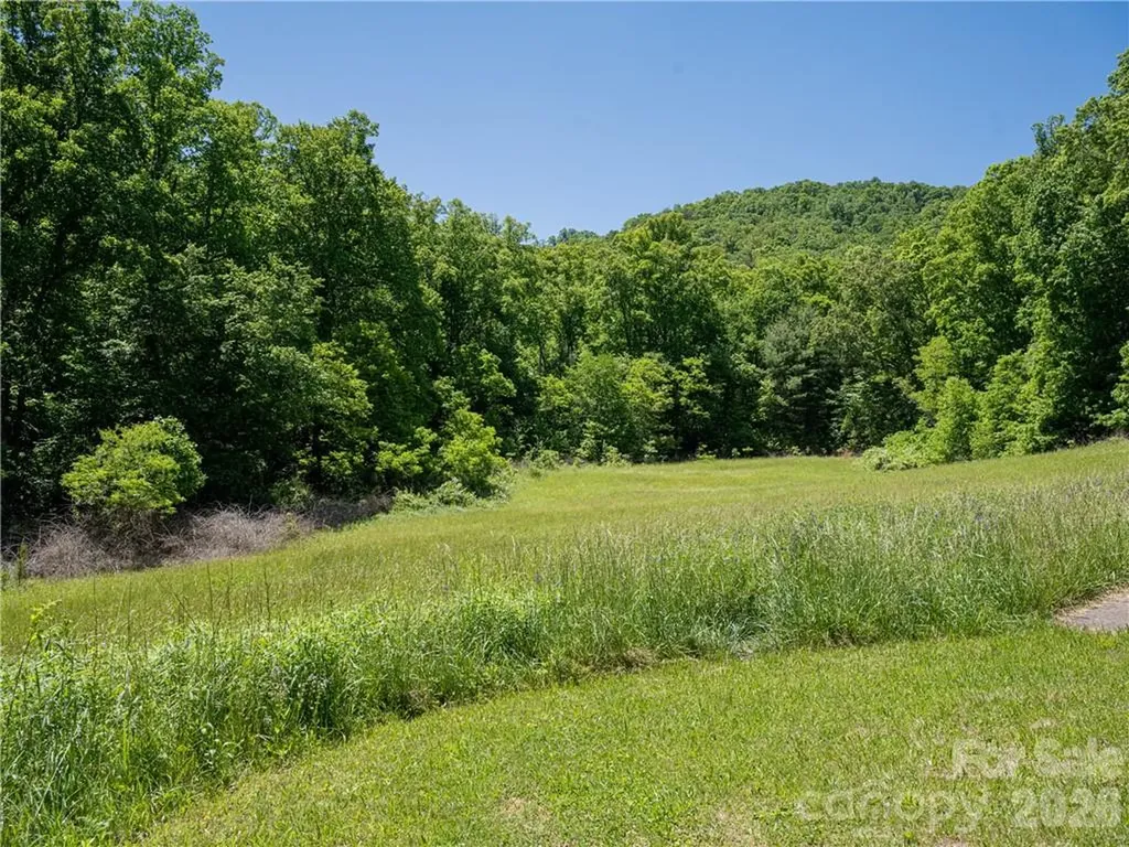 99999 Merrills Cove Road Asheville NC 28803