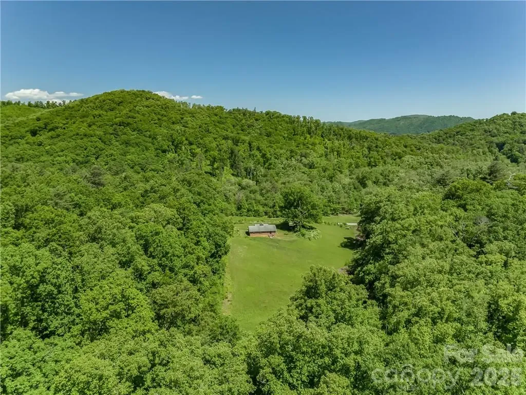 99999 Merrills Cove Road Asheville NC 28803