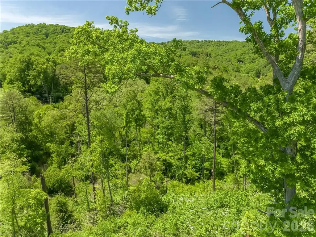 99999 Merrills Cove Road Asheville NC 28803