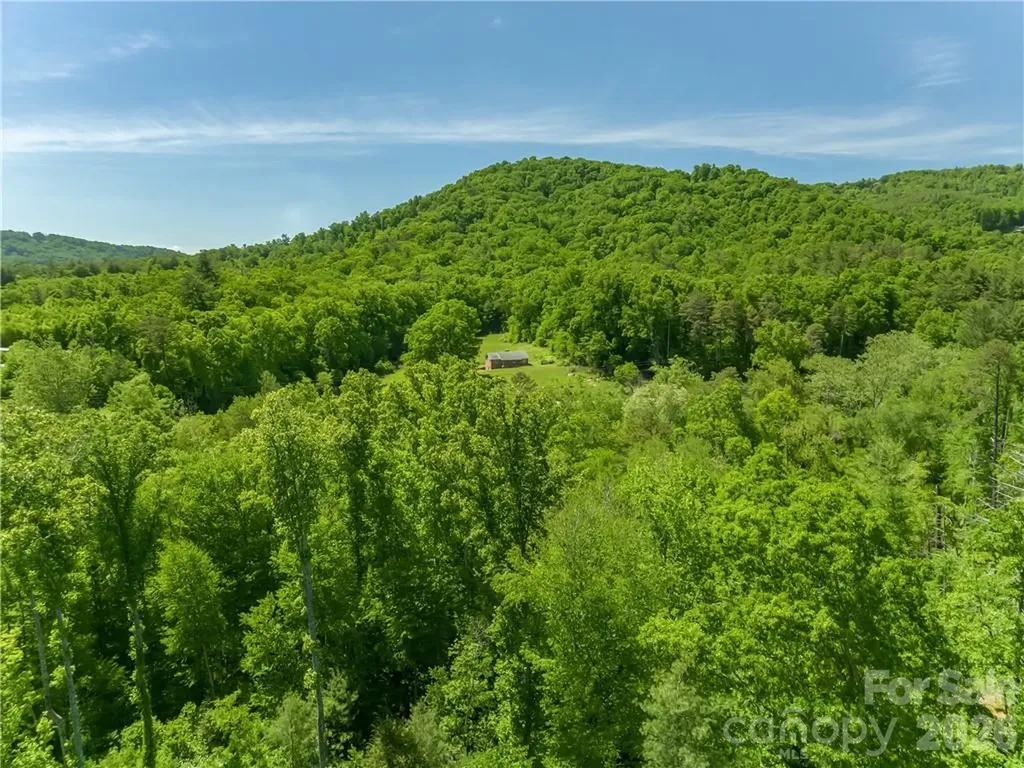 99999 Merrills Cove Road Asheville NC 28803
