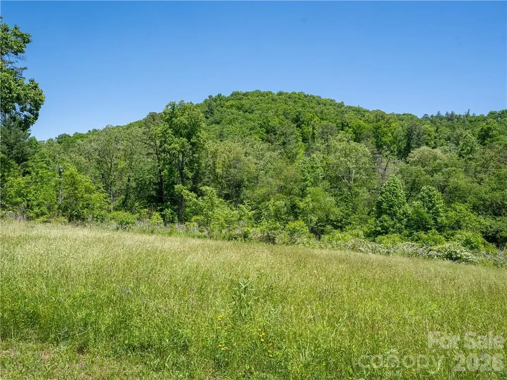 99999 Merrills Cove Road Asheville NC 28803