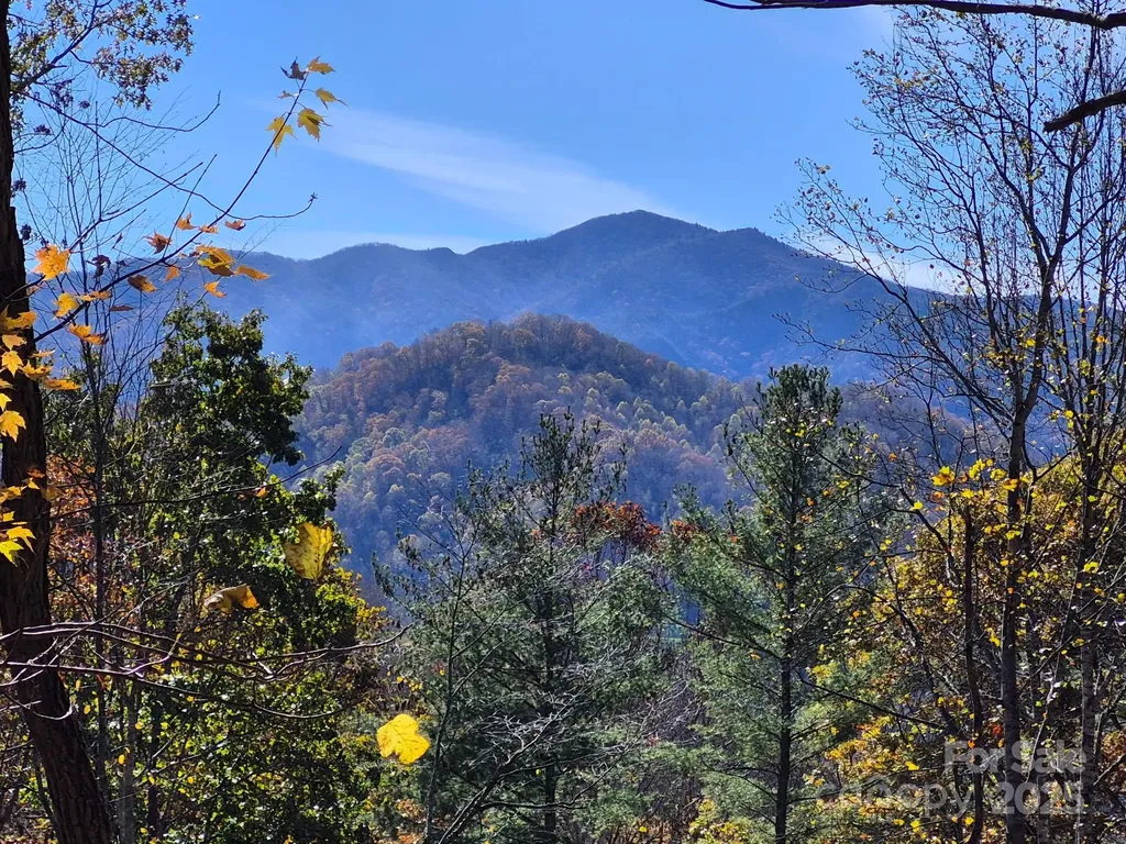 0 Alpine Ridge Canton NC 28716