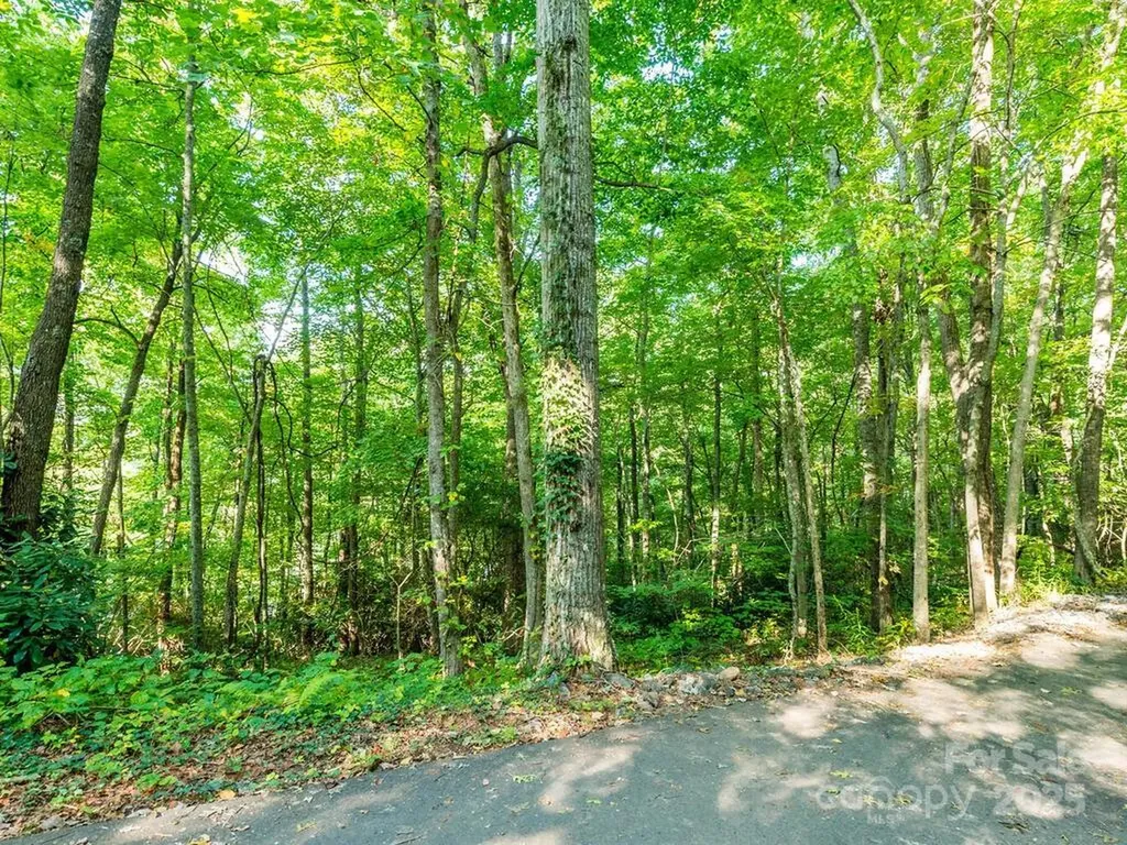 0 Alpine Ridge Canton NC 28716