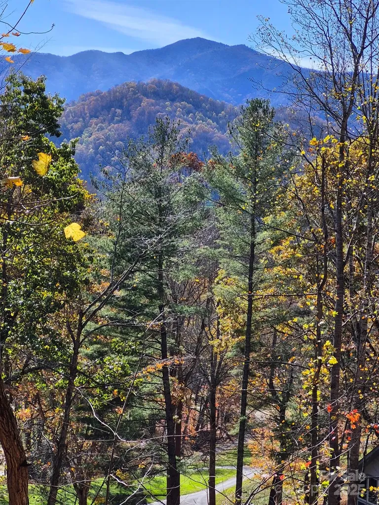 0 Alpine Ridge Canton NC 28716