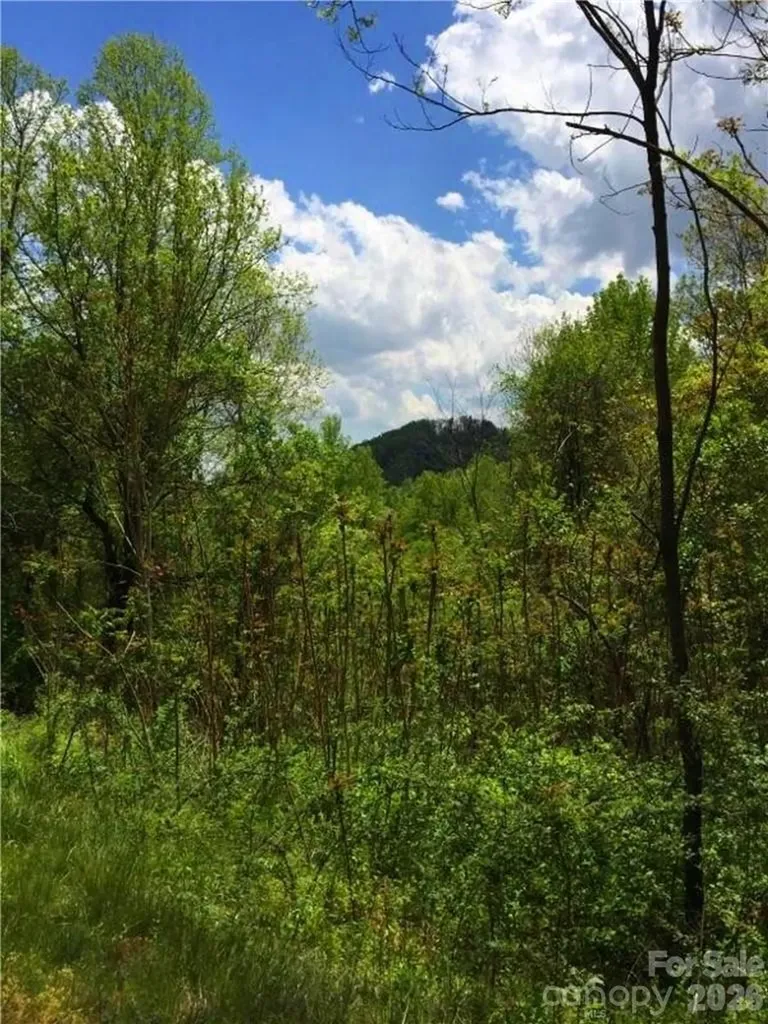187 Starling Pass Asheville NC 28804