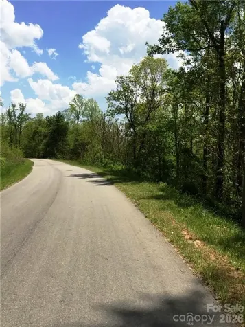 187 Starling Pass Asheville NC 28804