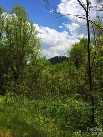 187 Starling Pass Asheville NC 28804