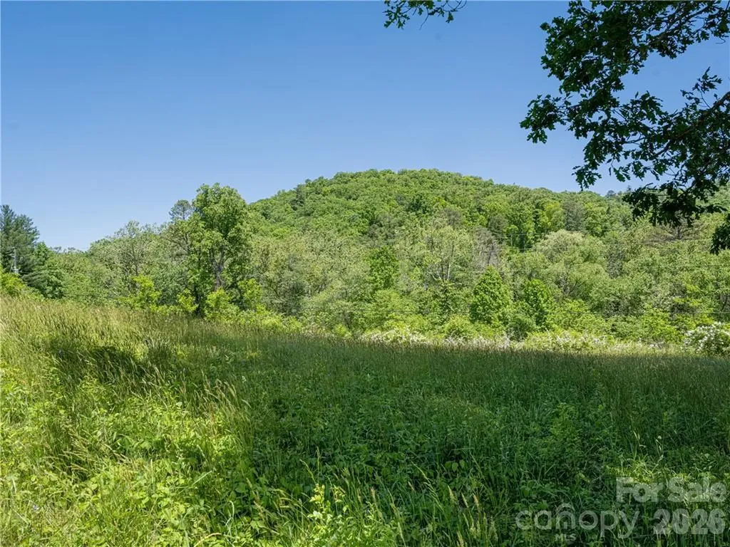 99999 Merrills Cove Road Asheville NC 28803