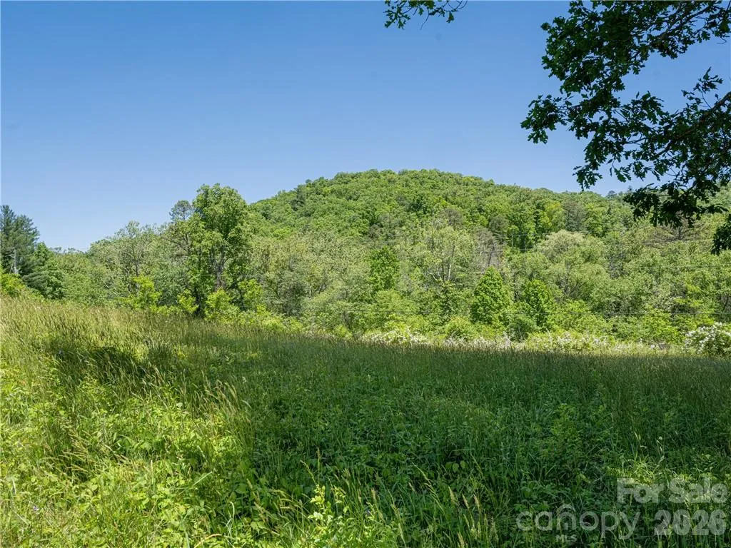99999 Merrills Cove Road Asheville NC 28803