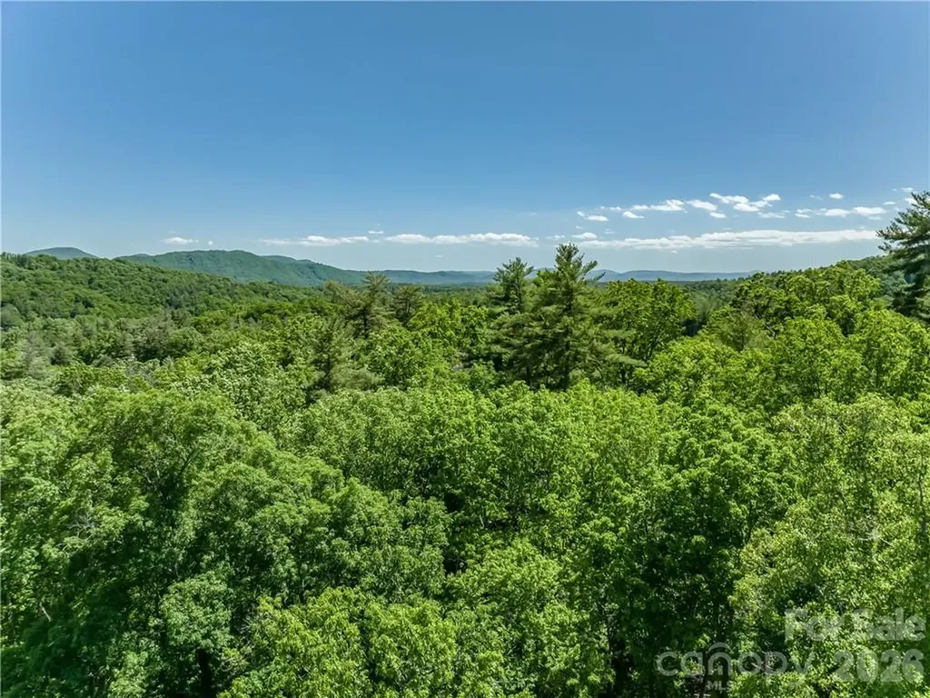99999 Merrills Cove Road Asheville NC 28803