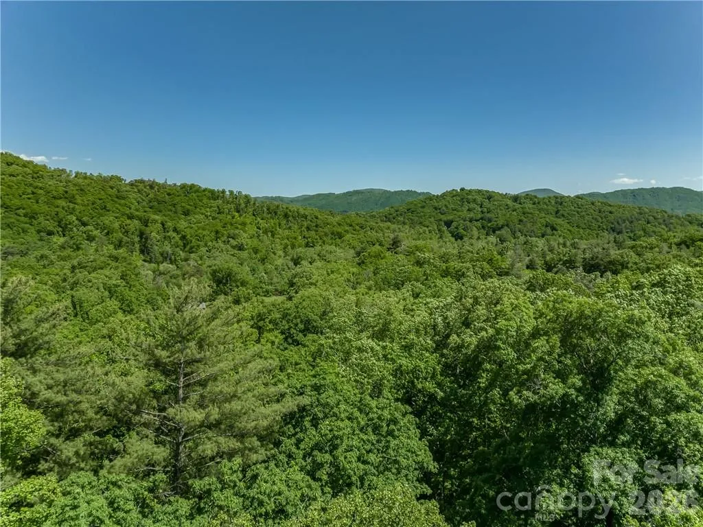 99999 Merrills Cove Road Asheville NC 28803