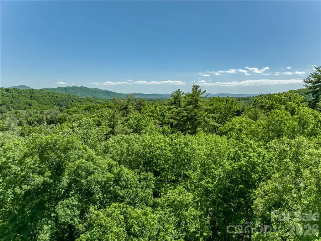 99999 Merrills Cove Road Asheville NC 28803