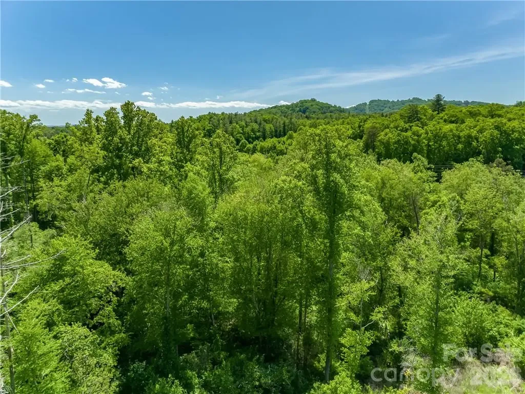 99999 Merrills Cove Road Asheville NC 28803