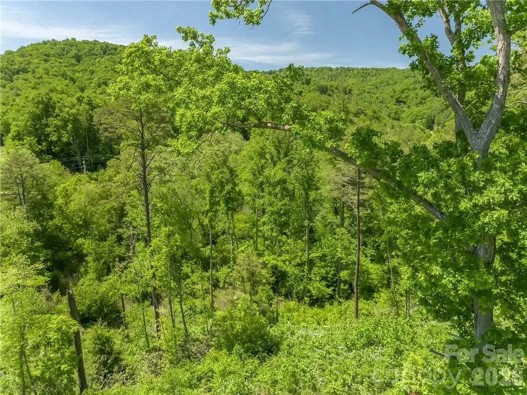 99999 Merrills Cove Road Asheville NC 28803