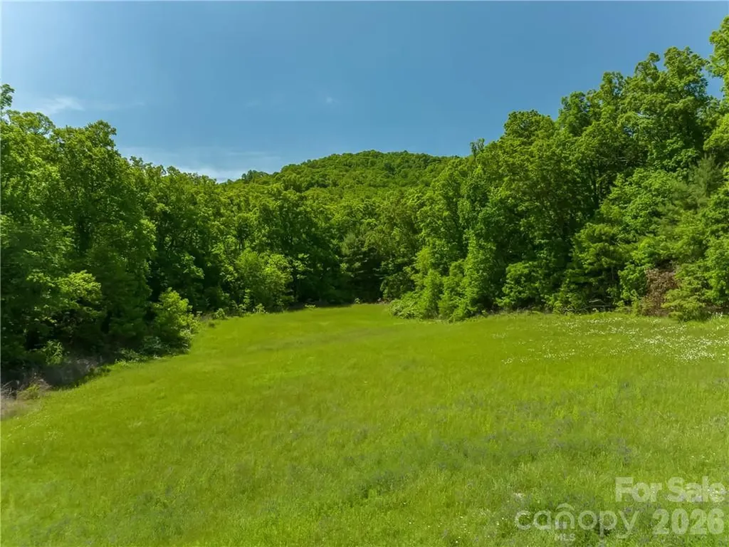 99999 Merrills Cove Road Asheville NC 28803