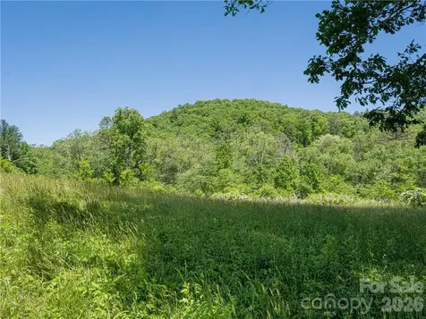 99999 Merrills Cove Road Asheville NC 28803