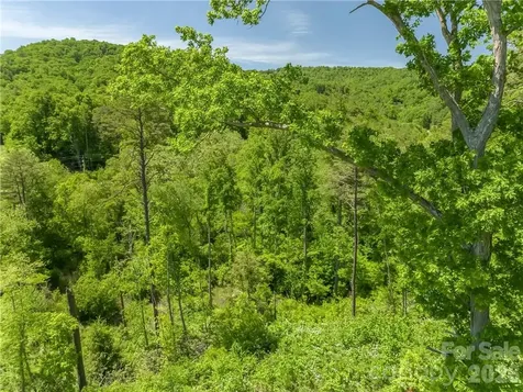 99999 Merrills Cove Road Asheville NC 28803