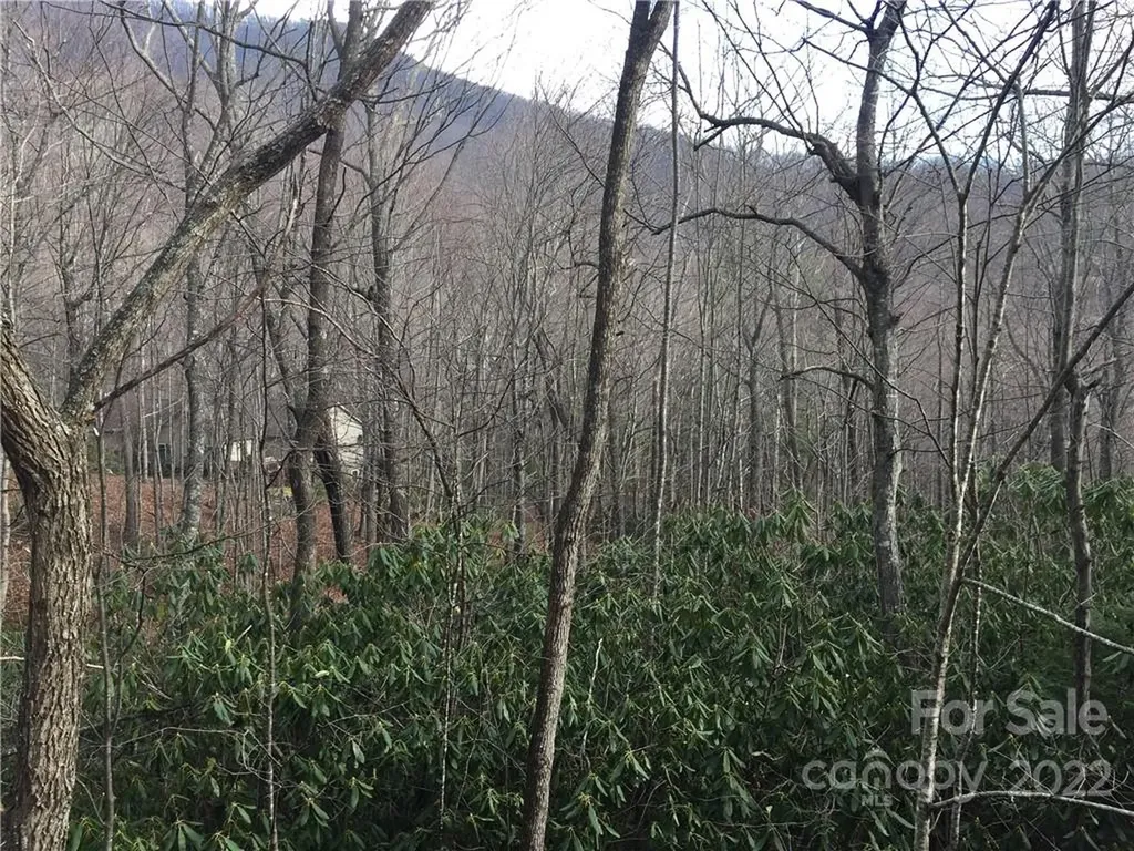 23 Wood Haven Lane Black Mountain NC 28711