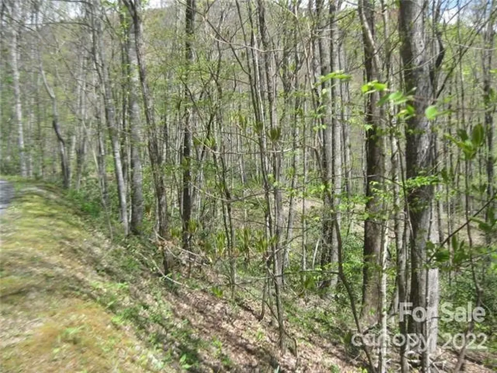23 Wood Haven Lane Black Mountain NC 28711