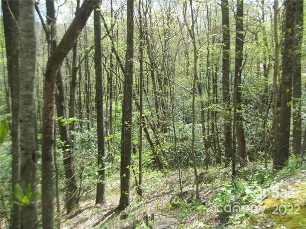 23 Wood Haven Lane Black Mountain NC 28711