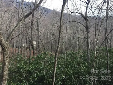 23 Wood Haven Lane Black Mountain NC 28711