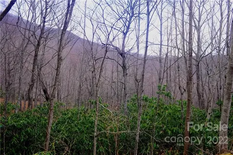 23 Wood Haven Lane Black Mountain NC 28711