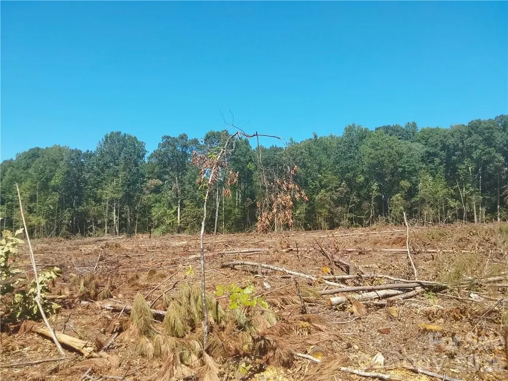 00 Requa Road Cherryville NC 28021