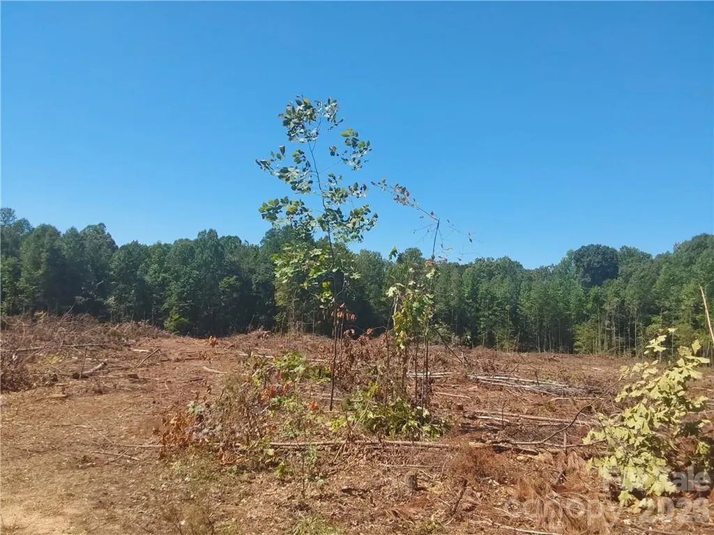 00 Requa Road Cherryville NC 28021