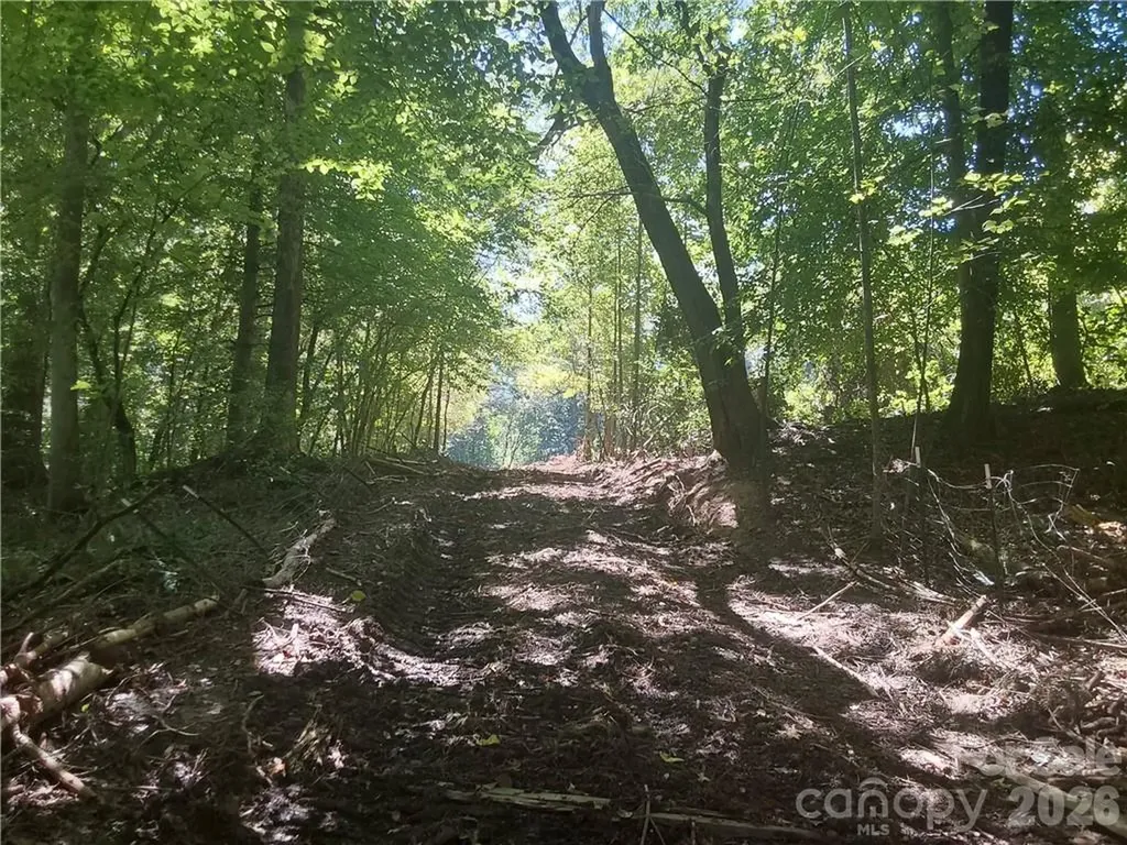 00 Requa Road Cherryville NC 28021