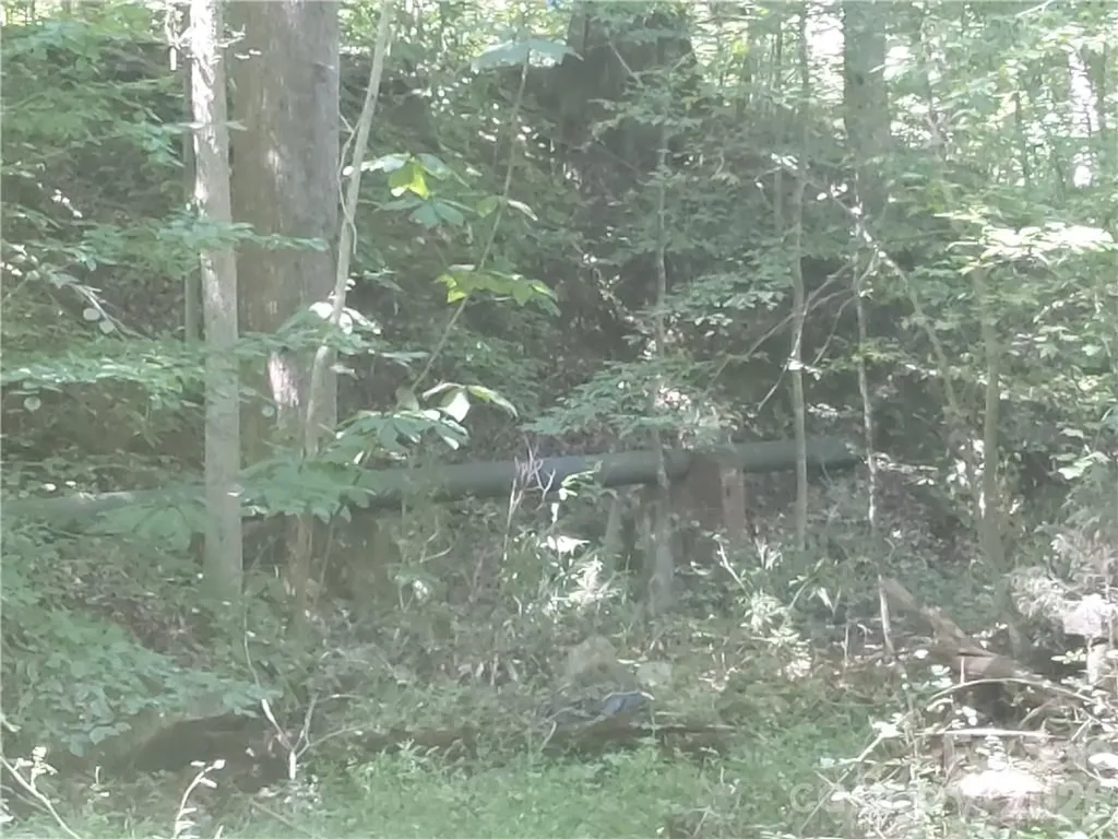 00 Requa Road Cherryville NC 28021