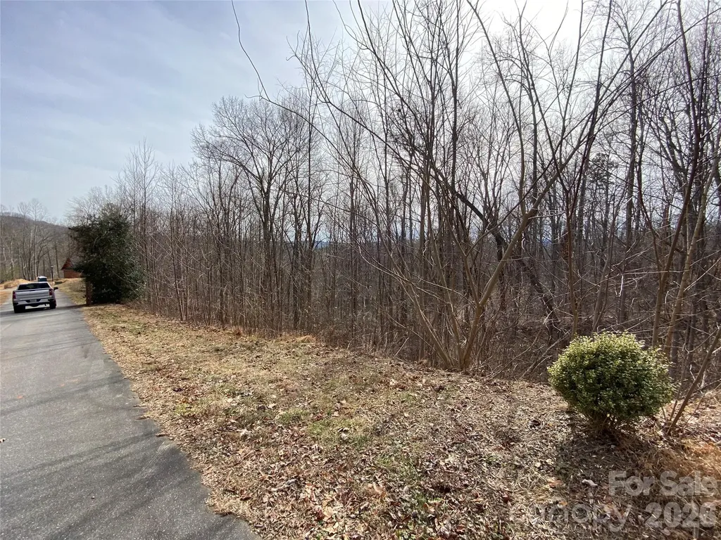 46 Holmstead Drive Lake Lure NC 28746