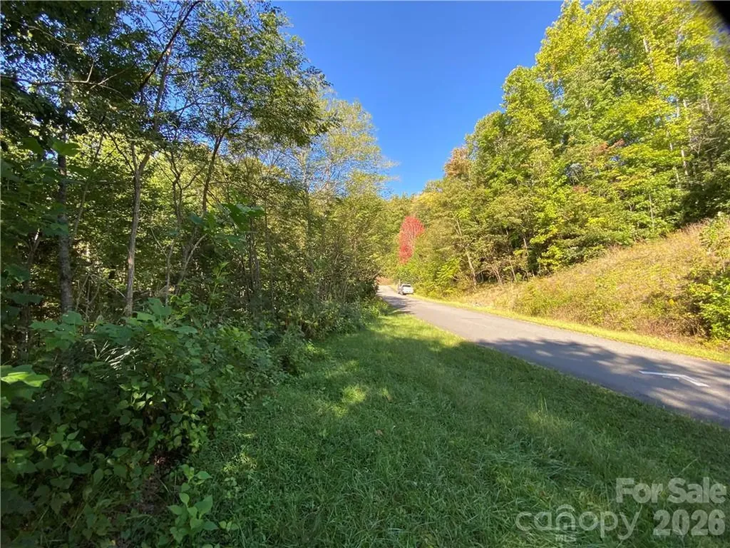 46 Holmstead Drive Lake Lure NC 28746