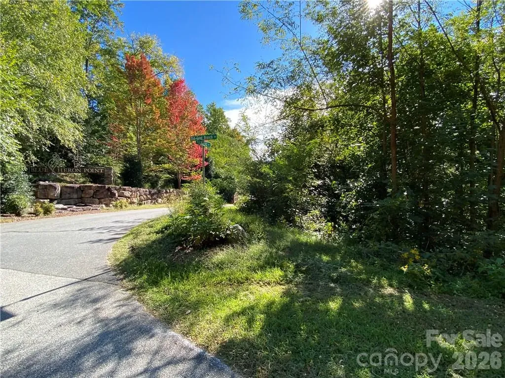 46 Holmstead Drive Lake Lure NC 28746