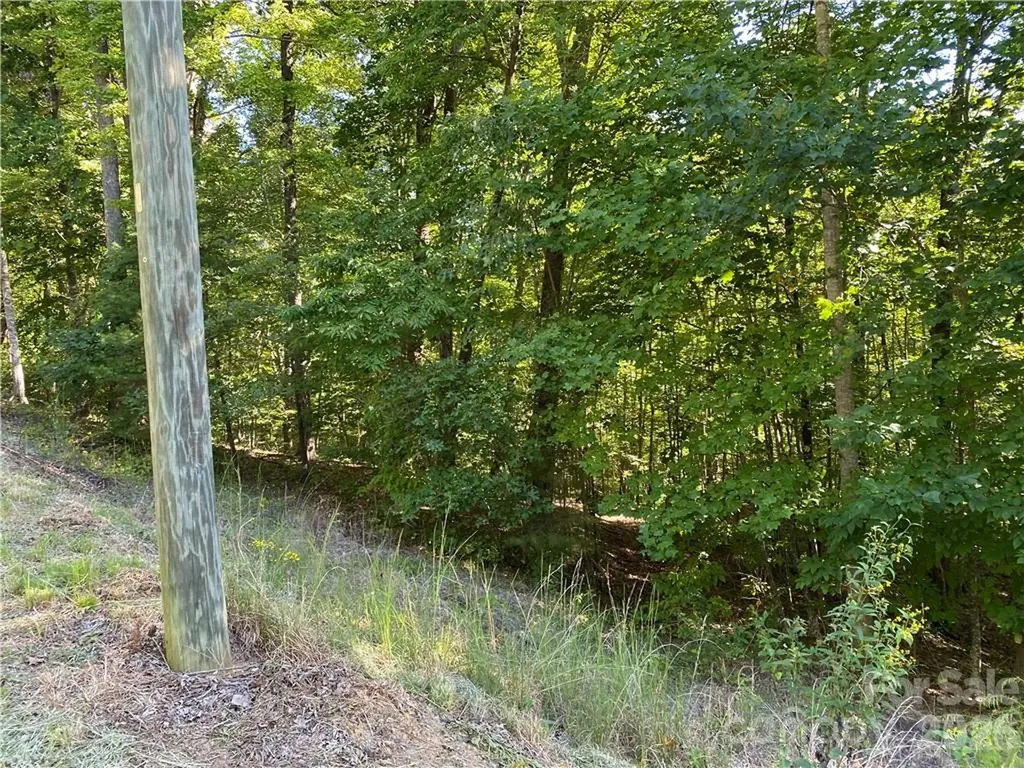 46 Holmstead Drive Lake Lure NC 28746