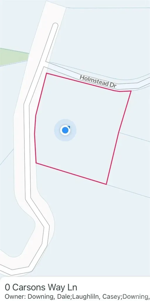 46 Holmstead Drive Lake Lure NC 28746