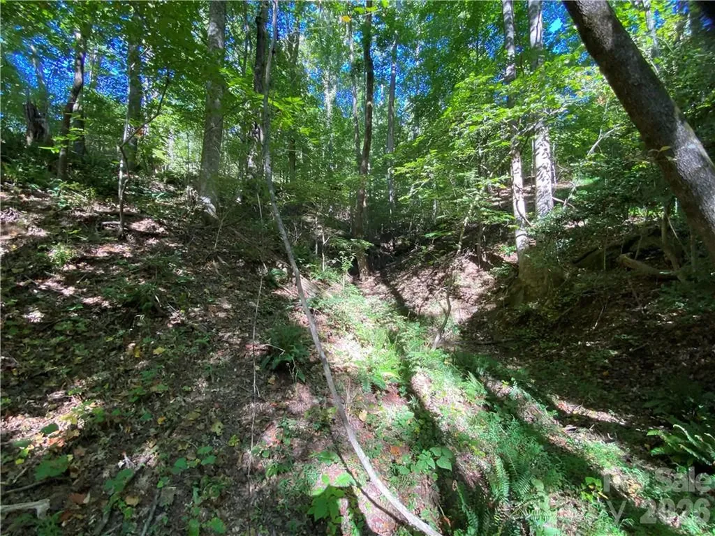 46 Holmstead Drive Lake Lure NC 28746