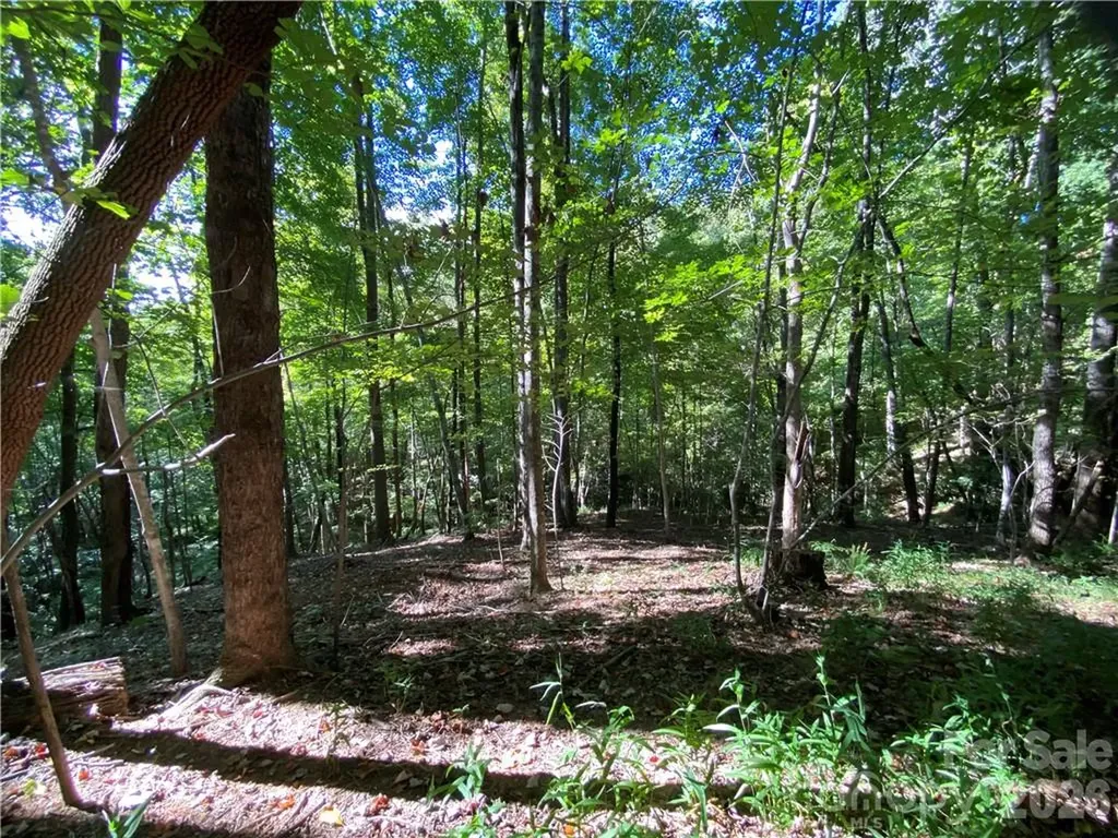 46 Holmstead Drive Lake Lure NC 28746