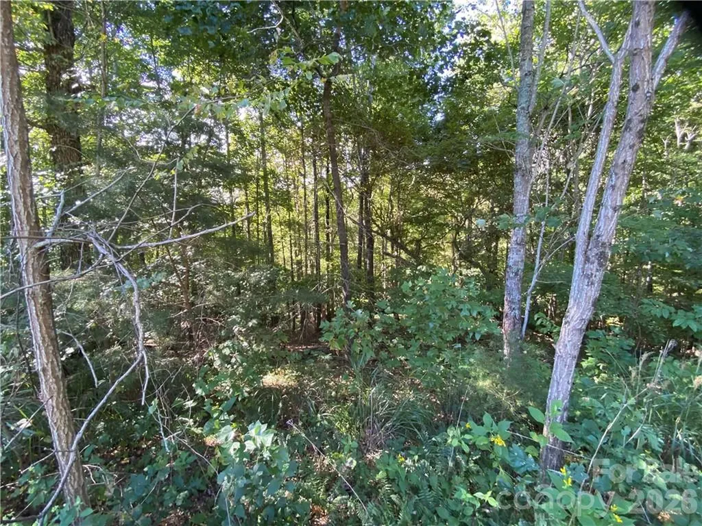 46 Holmstead Drive Lake Lure NC 28746