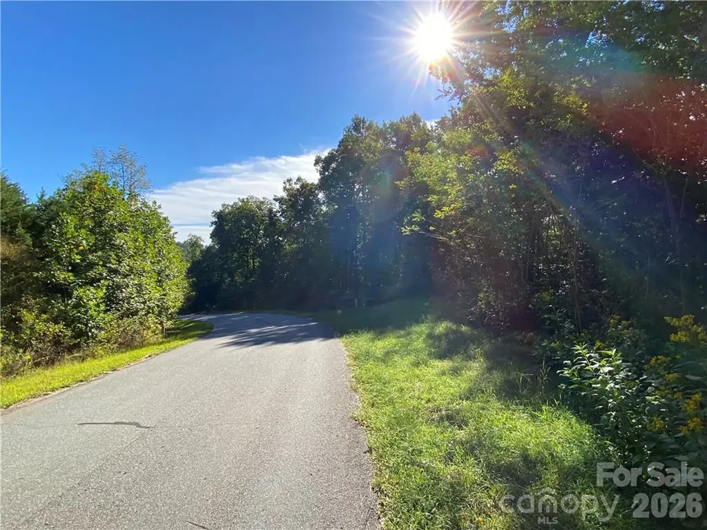 46 Holmstead Drive Lake Lure NC 28746